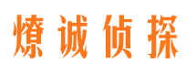 大丰市调查公司